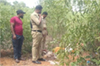 Vittal: Decomposed body of Paltaje resident found in isolated spot